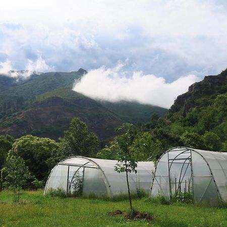 Casa Rural Chao De Castro Riodeporcos Exteriér fotografie